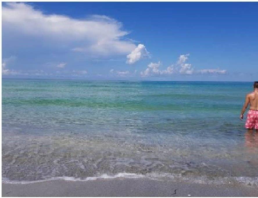 The Beach On Longboat Key - thumb 28
