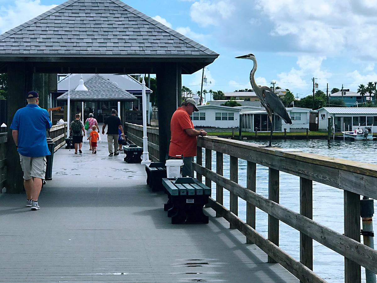 Shorewalk Full Condo Lake View 10 Mins To Beach IMG - thumb 39