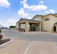 Comfort Inn  Suites - Accommodation Los Angeles