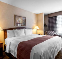 Quality Inn Hotel - Accommodation Los Angeles