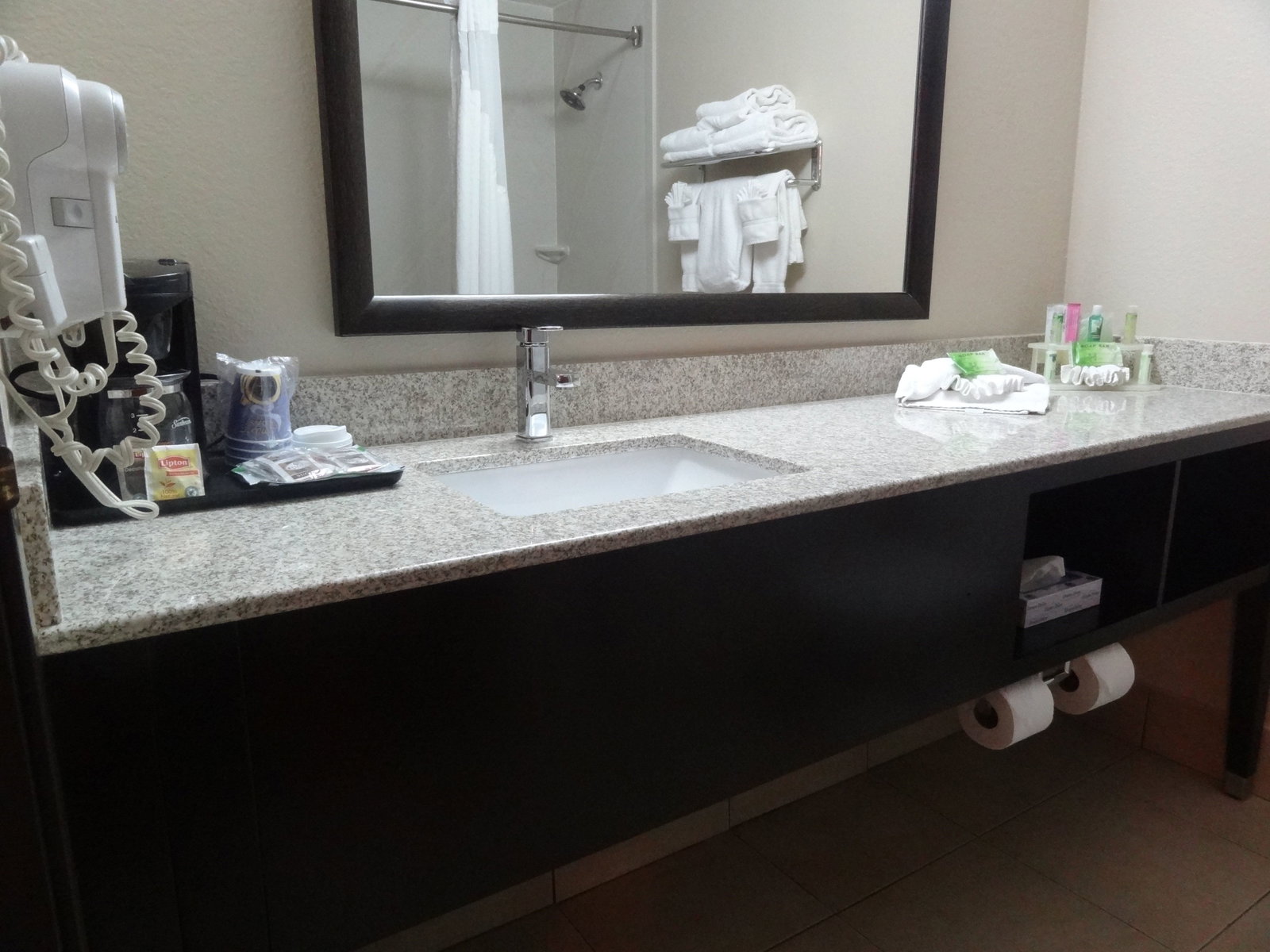 Holiday Inn Express & Suites Orange City - thumb 4