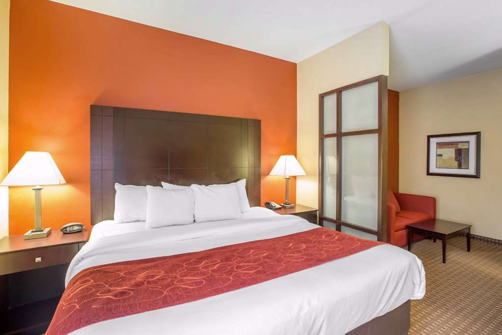 Comfort Suites Golden Isle Gateway - thumb 12