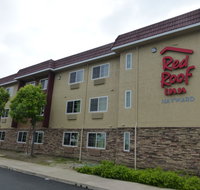 Red Roof Inn Hayward - Accommodation Los Angeles