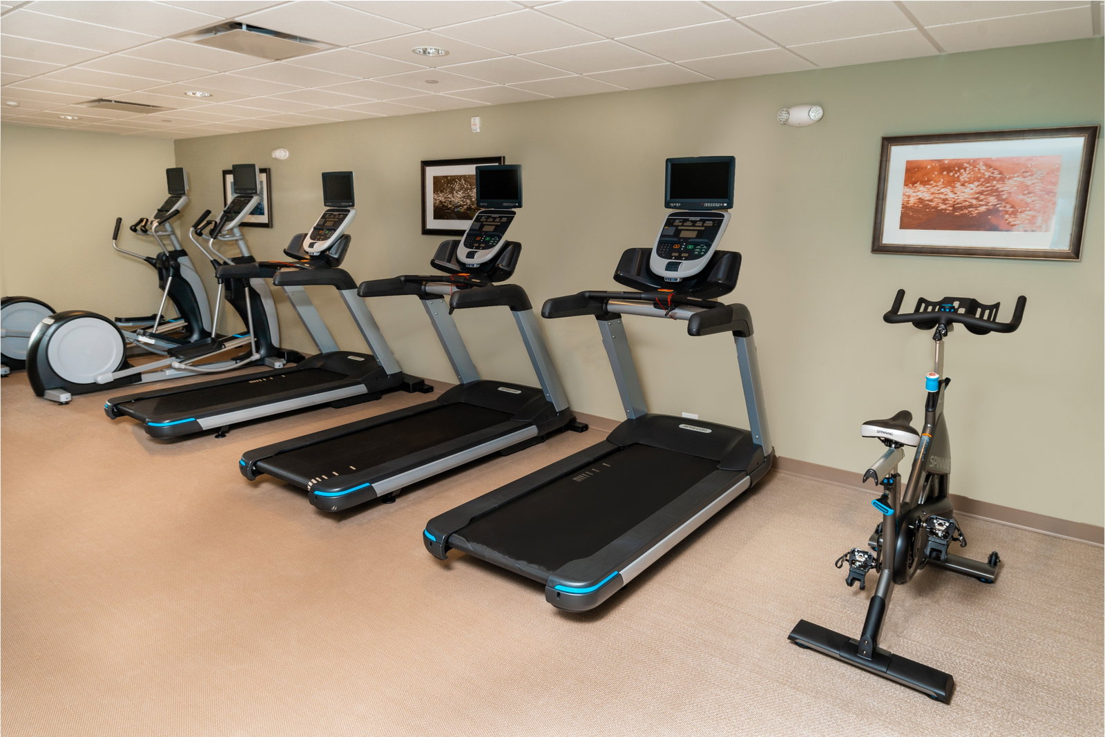 Staybridge Suites Newark-Fremont - thumb 14