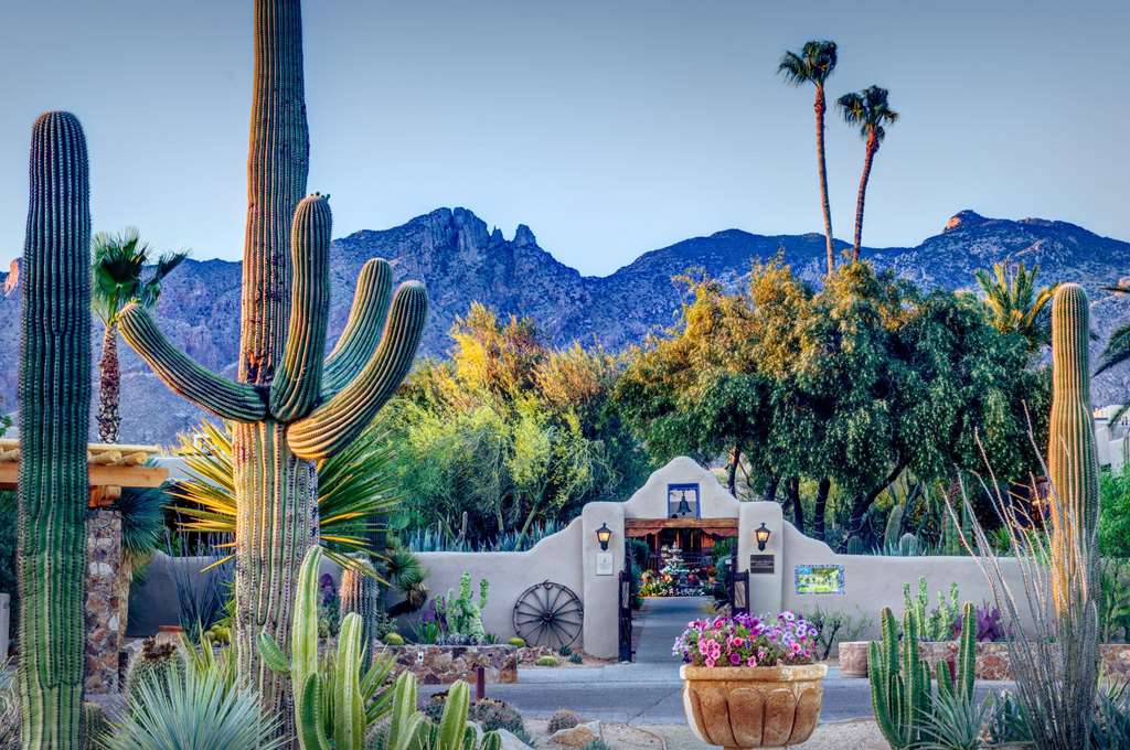 Hacienda Del Sol Guest Ranch Resort - thumb 0