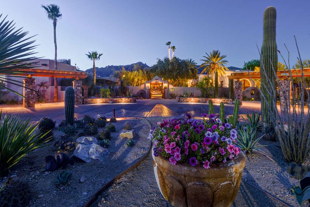 Hacienda Del Sol Guest Ranch Resort - thumb 4
