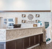 Comfort Inn  Suites Aberdeen - Accommodation Los Angeles