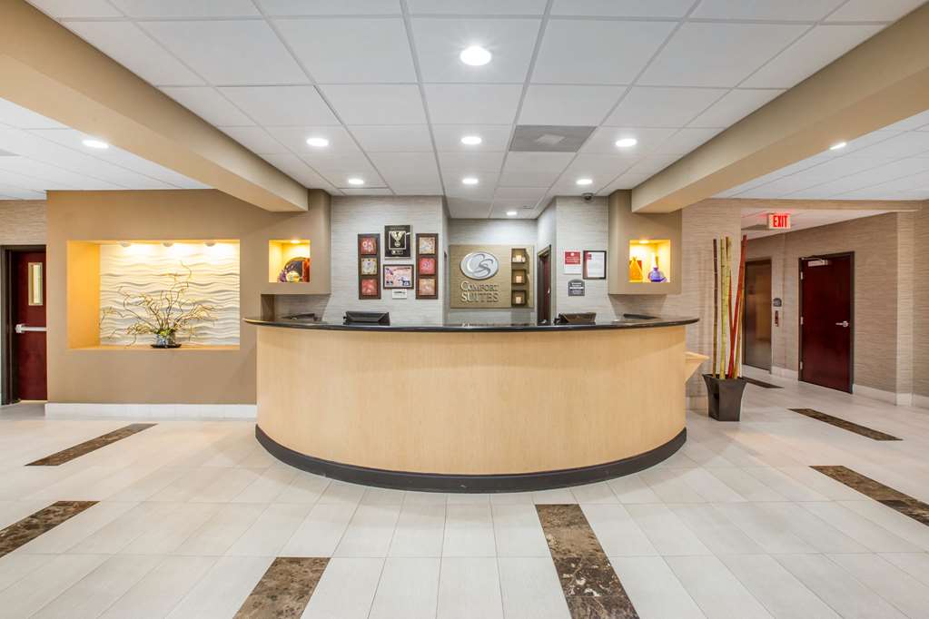 Comfort Suites - thumb 3