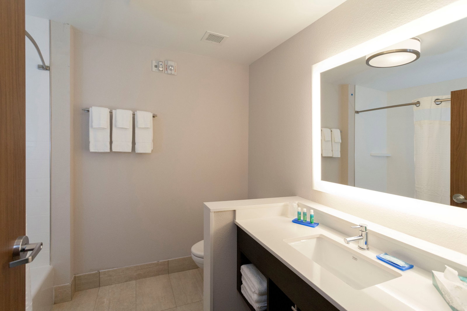 Holiday Inn Express & Suites Griffin - thumb 4