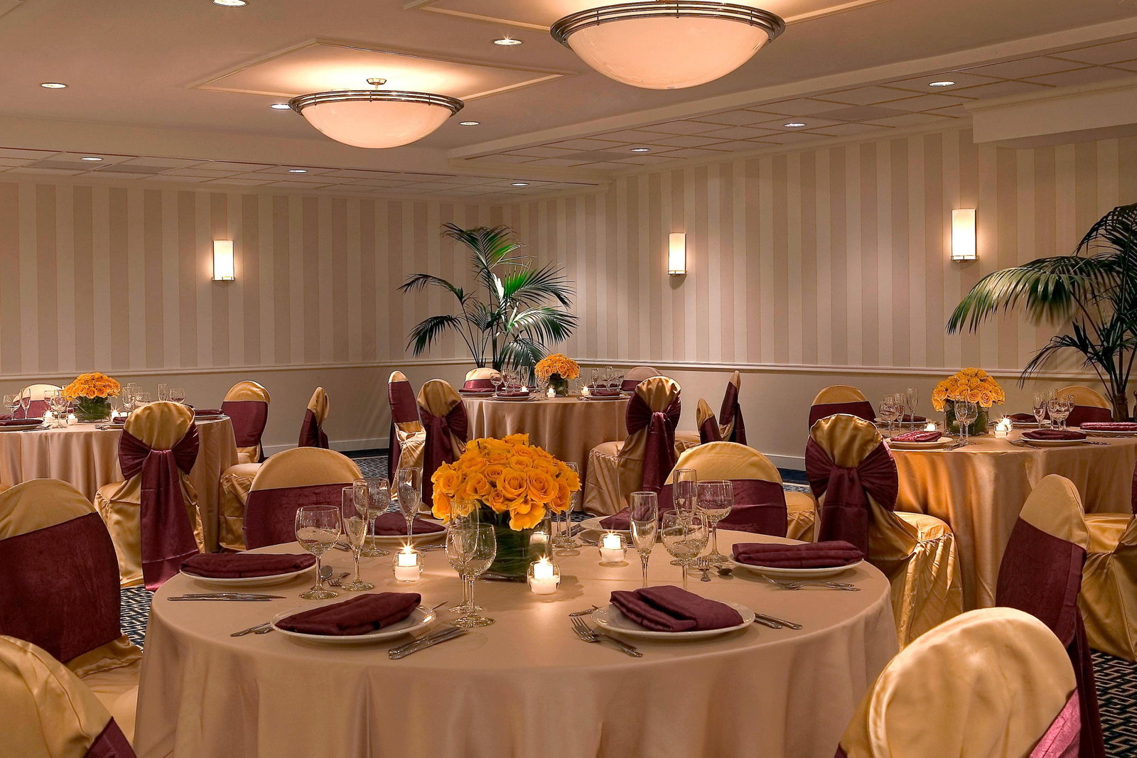 Four Points By Sheraton Wakefield Boston - thumb 4