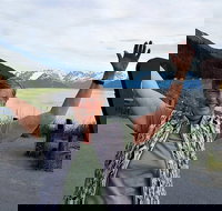 Wilderness Wildlife Glacier Experience from Anchorage - Accommodation Los Angeles