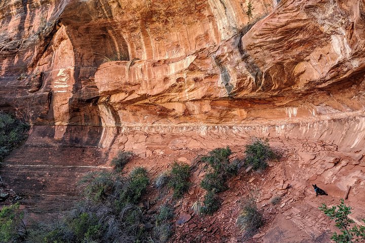 Sedona Scenic Half-Day Private Luxury Car Tour - thumb 3