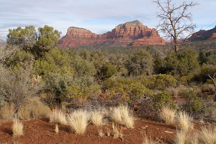 Sedona Scenic Half-Day Private Luxury Car Tour - thumb 5