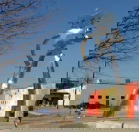 Private Dallas and JFK Tour with Local Guide - Accommodation Los Angeles