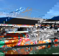 Miami Celebrity Homes Cruise - Accommodation Los Angeles