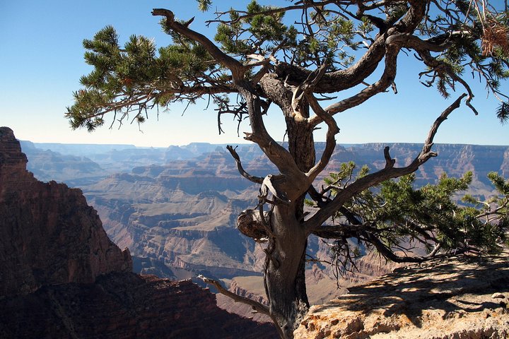 Comprehensive Grand Canyon Tour From Sedona W/Lunch - thumb 1