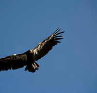 Grand Canyon Deluxe Day Trip from Sedona - Accommodation Los Angeles