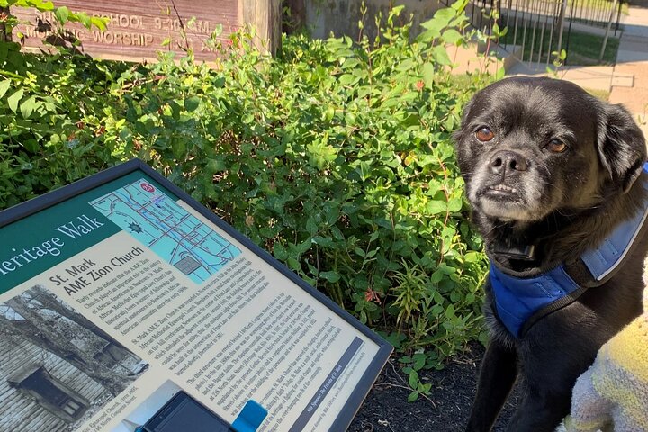 Mysteries On The Move: Scavenger Hunt In Baltimore - thumb 1