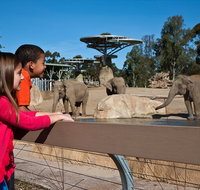 San Diego Zoo 1-Day Pass Ticket No Reservations Required - Accommodation Los Angeles