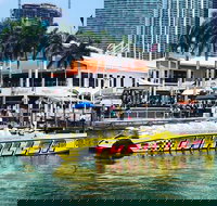 Speedboat Sightseeing Tour of Miami - Accommodation Los Angeles