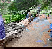 The Nashville Sightseeing Day Pass: Save BIG on 20+ Attractions in Music City! - Accommodation Los Angeles