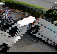 Hollywood Sightseeing and Celebrity Homes Tour by Open-Top Bus - Accommodation Los Angeles