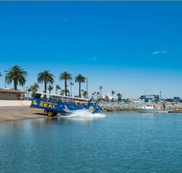 San Diego Seal Tour - Accommodation Los Angeles