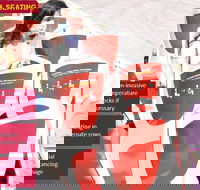 Big Bus Chicago Hop-On Hop-Off Tour - Accommodation Los Angeles