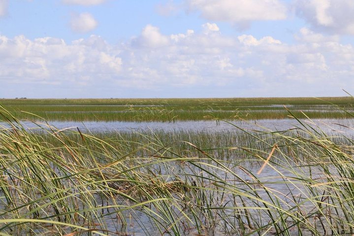 Everglades Airboat Safari - thumb 2