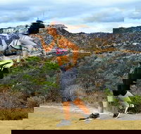 Griffith Observatory Hike Hollywood Hills Walk in Griffith Park - Accommodation Los Angeles