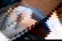 Bay State W Tower Ma Accommodation Los Angeles