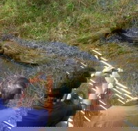 Everglades Tour in Miami - Accommodation Los Angeles