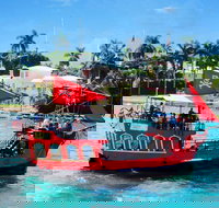 Pirates Adventures Sightseeing Tour from Miami - Accommodation Los Angeles