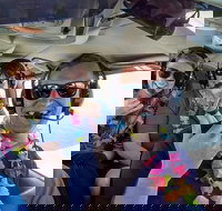 Maui Circle Island -Private- Air Tour Maui's Magical  Hidden Beauty Revealed - Accommodation Los Angeles