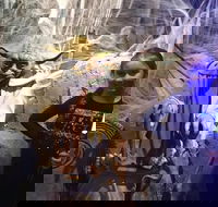 VIP Tour- The Galaxy Connection - Accommodation Los Angeles