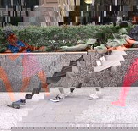 Little Rock City Scavenger Hunt Excursion by Operation City Quest - Accommodation Los Angeles