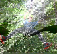 10 Zip Line Zip Tour 1.5 hours - Accommodation Los Angeles