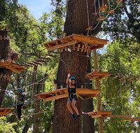 2-Hour Climbing and Ziplining in West Sacramento - Accommodation Los Angeles