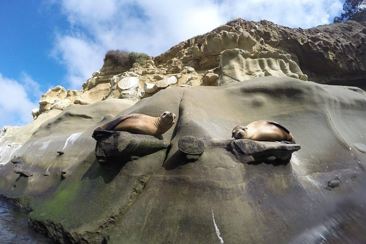 La Jolla Sea Caves Kayak Tour - thumb 1