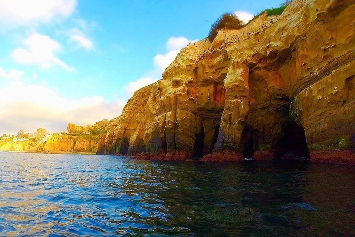 La Jolla Sea Caves Kayak Tour - thumb 2