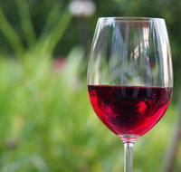 Amador County Wine Tasting Tours Chevrolet Suburban Private Tour - Accommodation Los Angeles