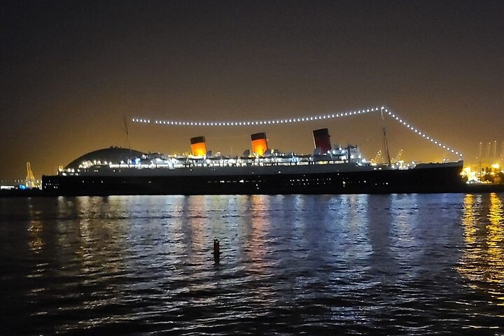 LED Illuminated Surrey Night Rides In Long Beach Shoreline Village - thumb 1