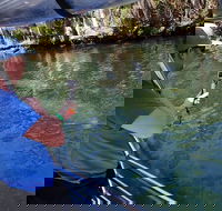 Manatee Viewing Cruise - Accommodation Los Angeles