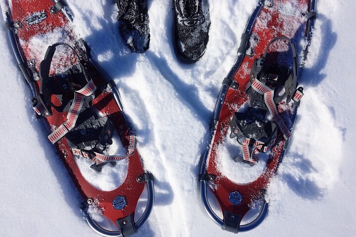 Guided Snow Shoeing - thumb 2