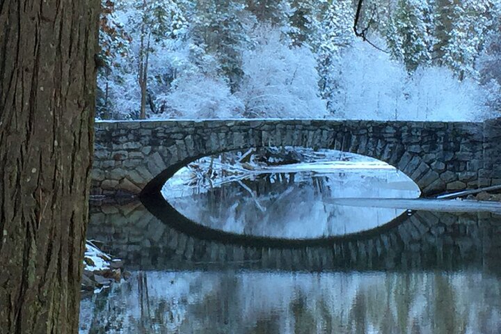 Yosemite Valley Safari And Classic Sites Audio Tour - thumb 3