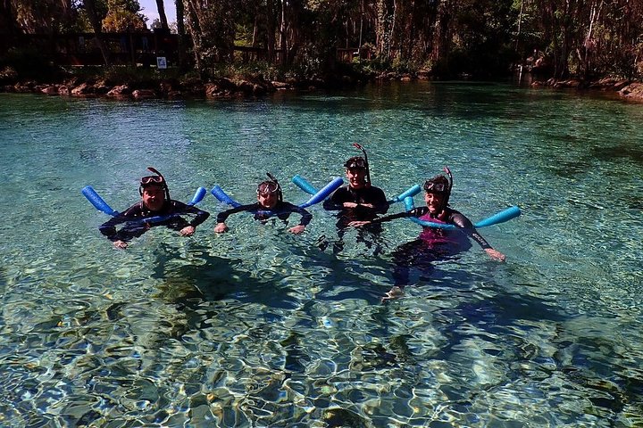 Small Group Manatee Snorkeling Tour With In Water Guide - thumb 0