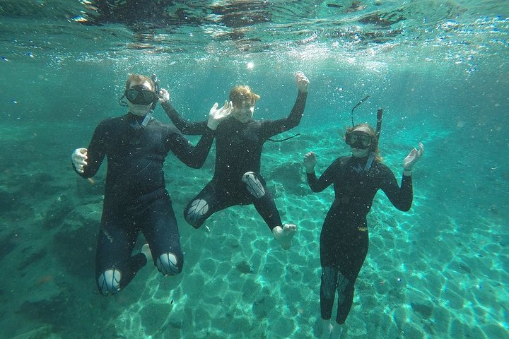 Small Group Manatee Snorkeling Tour With In Water Guide - thumb 5