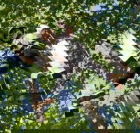 Fields of Fire Adventure Park Admission Ticket - Accommodation Los Angeles