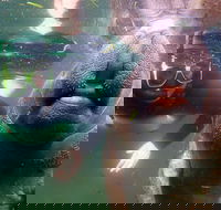 Private Manatee Tour - Accommodation Los Angeles