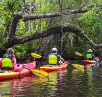Amelia Island Guided Kayak Tour of Lofton Creek - Accommodation Los Angeles